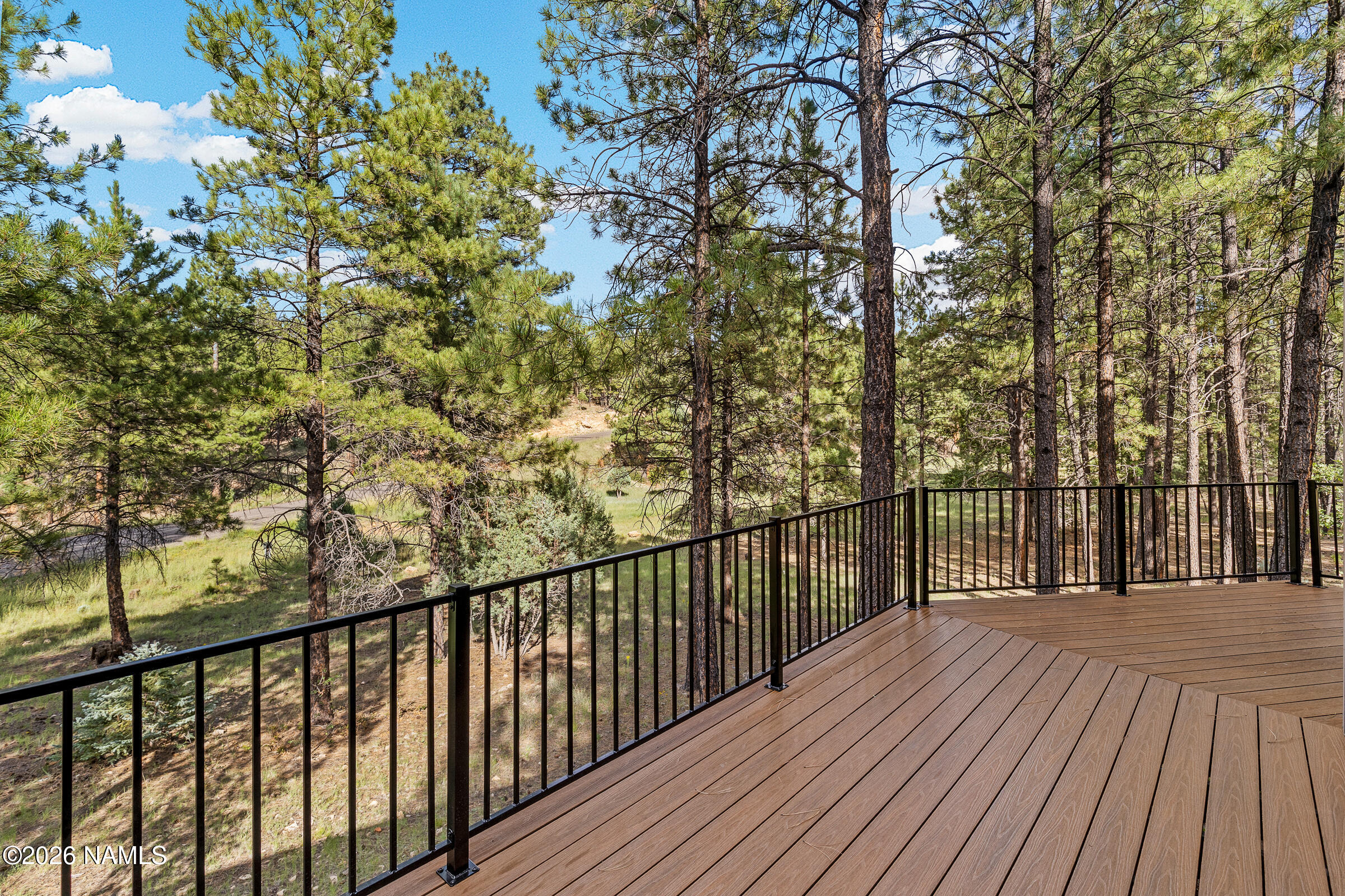  3579 Starlight Drive, Happy Jack, AZ 86024 - 物件實景