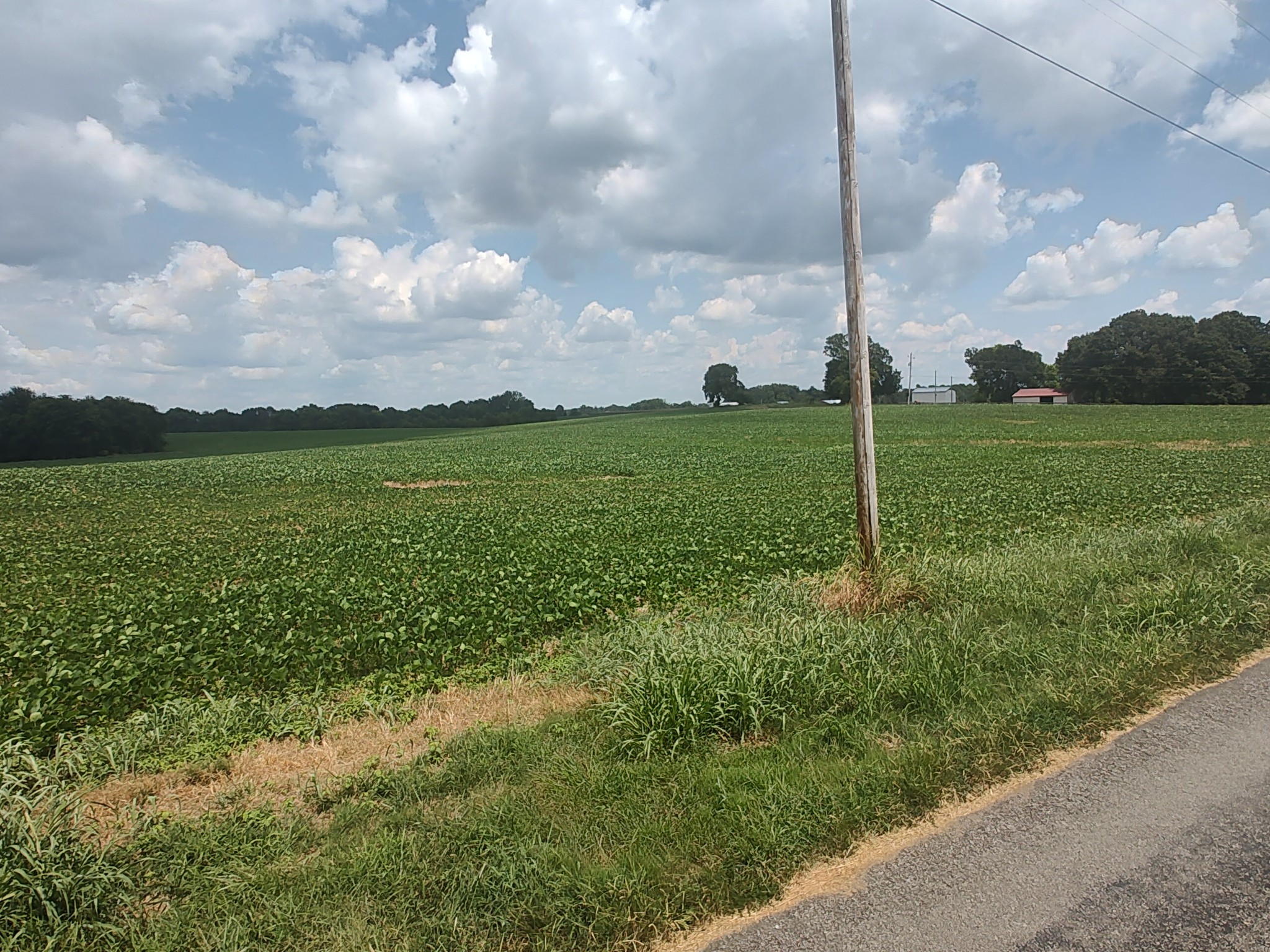 Cedar Hill, Tennessee, 37032, United States, ,Land,For Sale,1980788