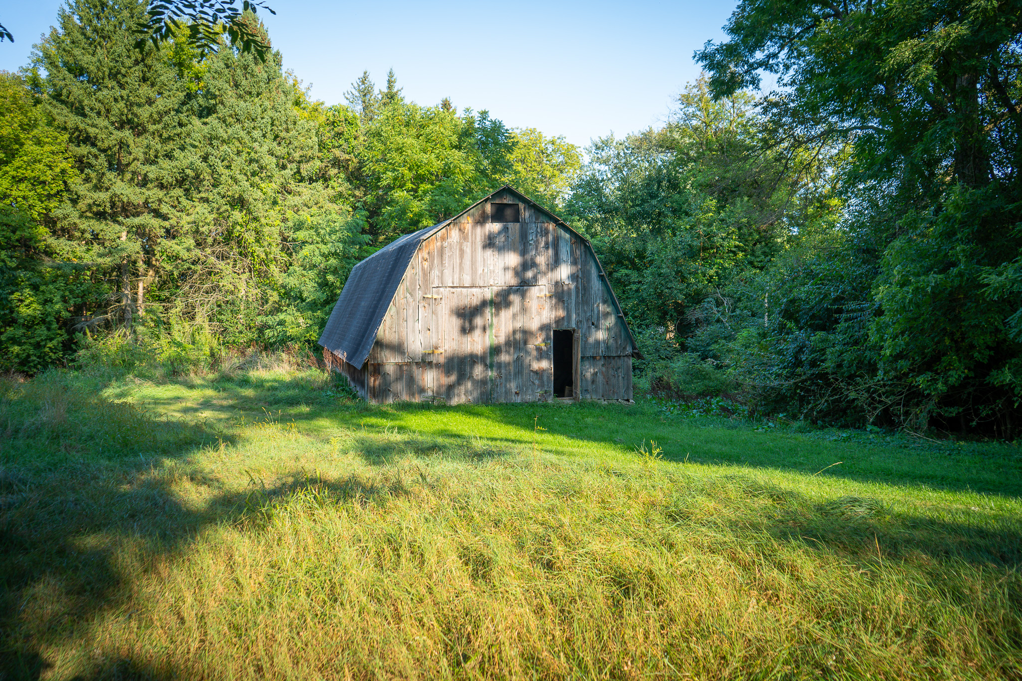 Jackson, Michigan, 49201, United States, 4 Bedrooms Bedrooms, ,2 BathroomsBathrooms,Residential,For Sale,1981022