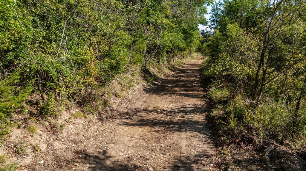 Iredell, Texas, 76649, United States, ,Land,For Sale,1977301