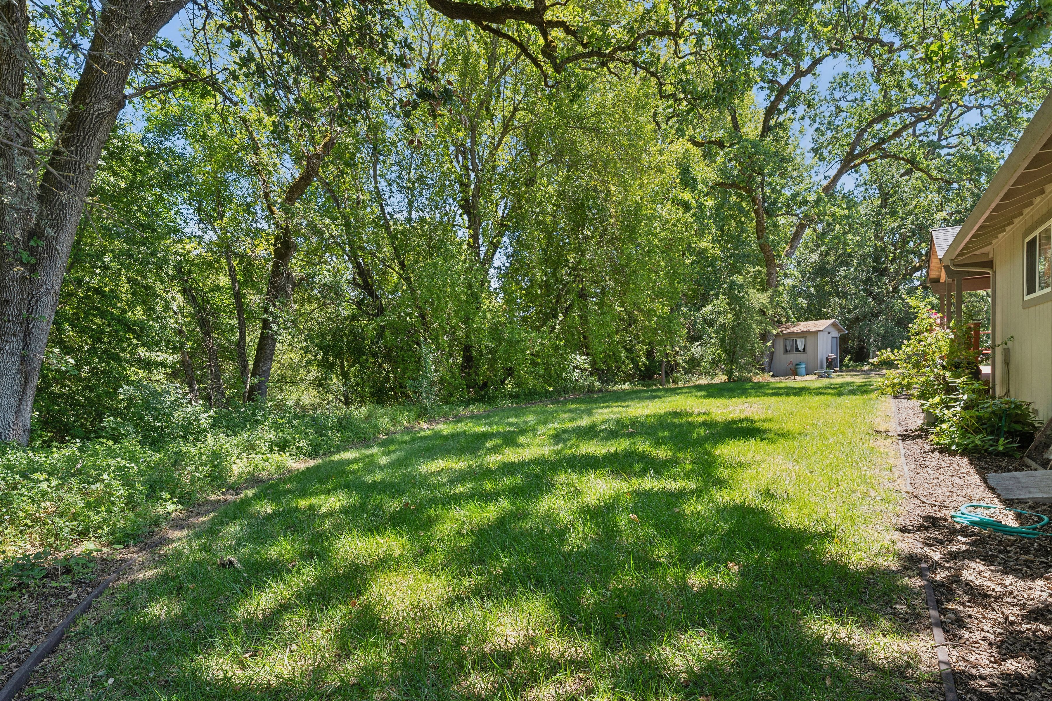  825 Woodside Aka Madrone Road - 物件實景