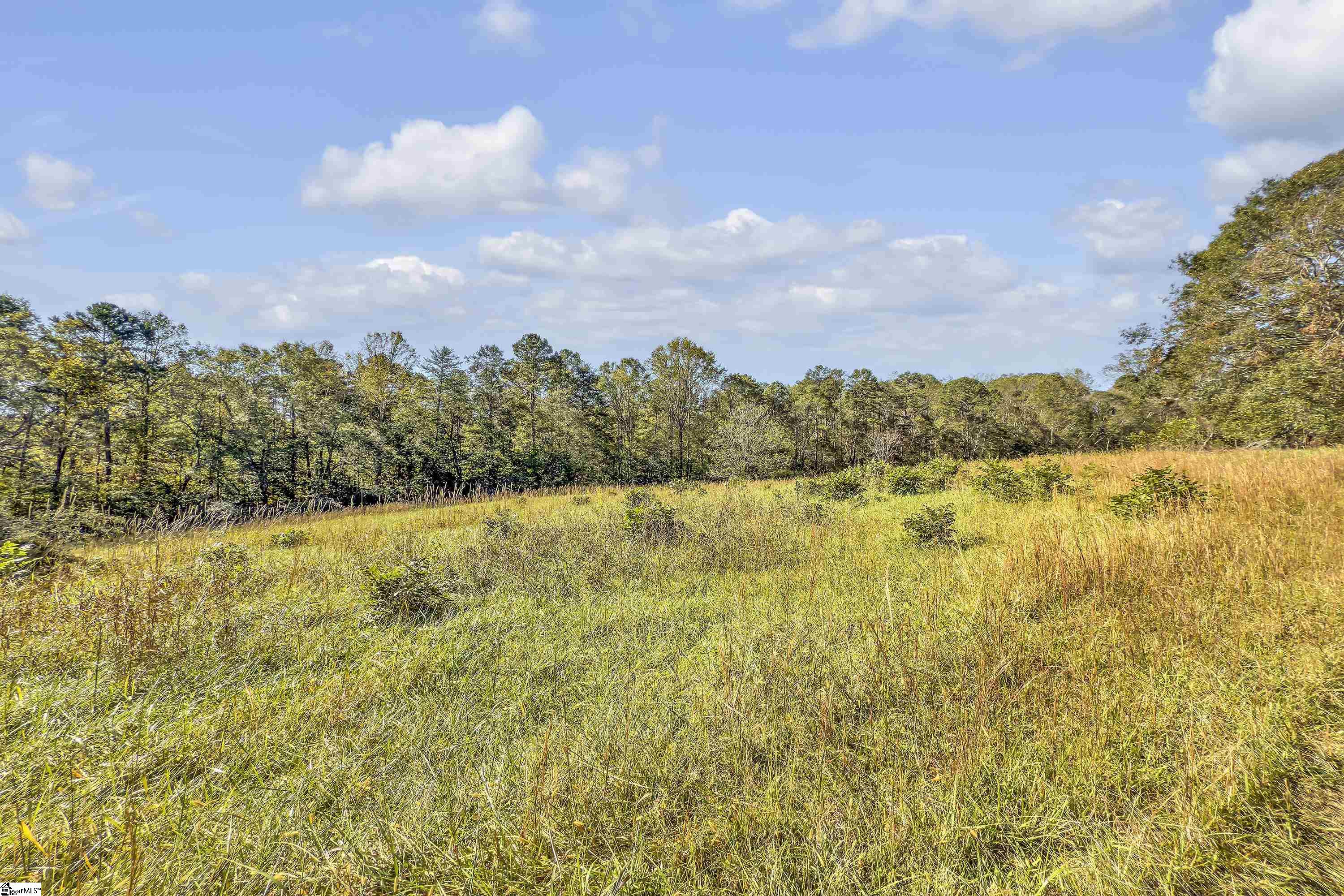 Old Converse Road, Spartanburg, South Carolina, 29301, United States, ,Land,For Sale,Old Converse Road,1647138