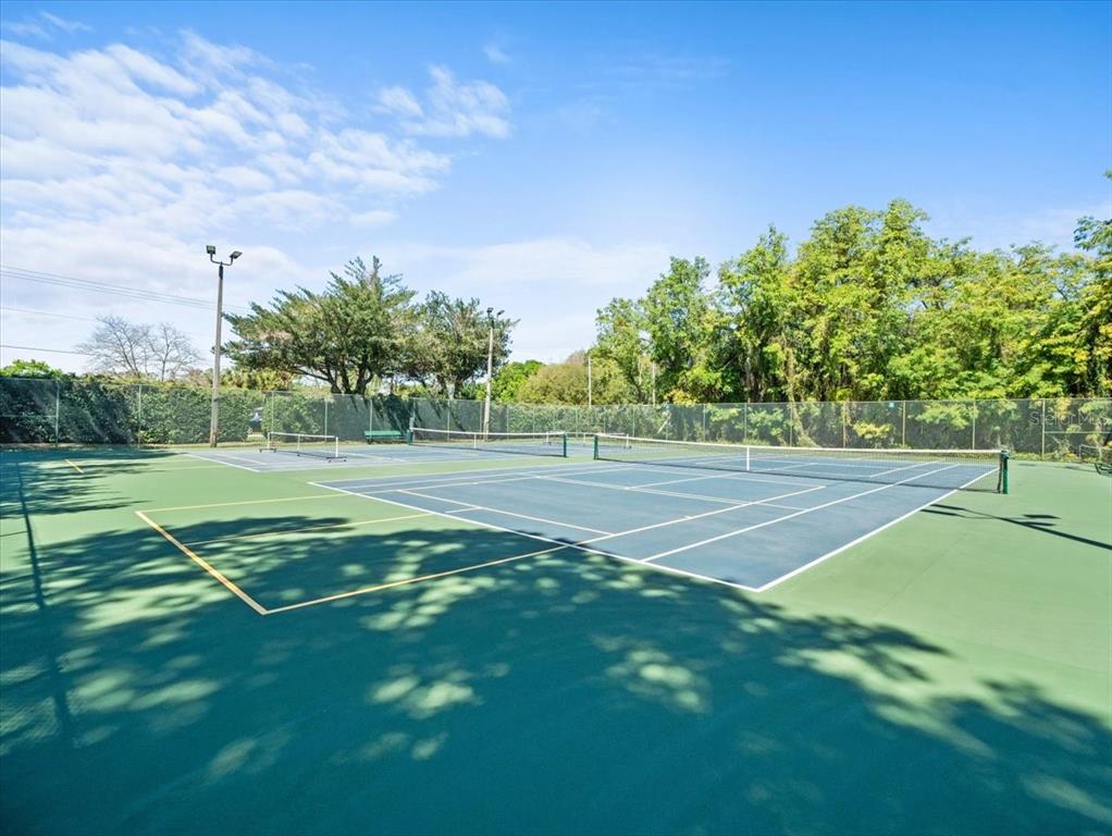 Tampa, Florida, 33618, United States, 4 Bedrooms Bedrooms, ,2 BathroomsBathrooms,Residential,For Sale,1917104