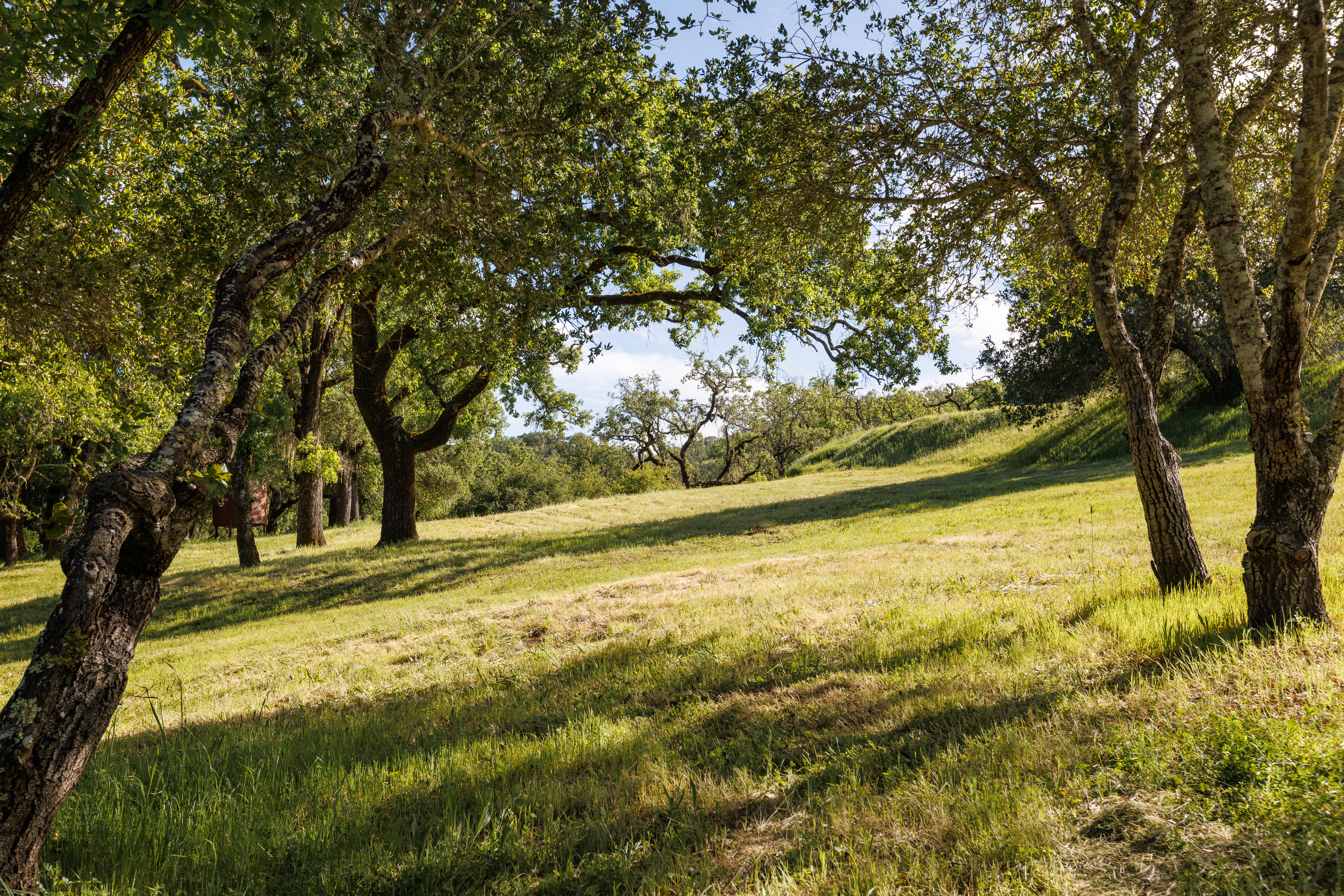  6225 West Soda Rock Lane, Healdsburg, CA 95448 - 物件實景
