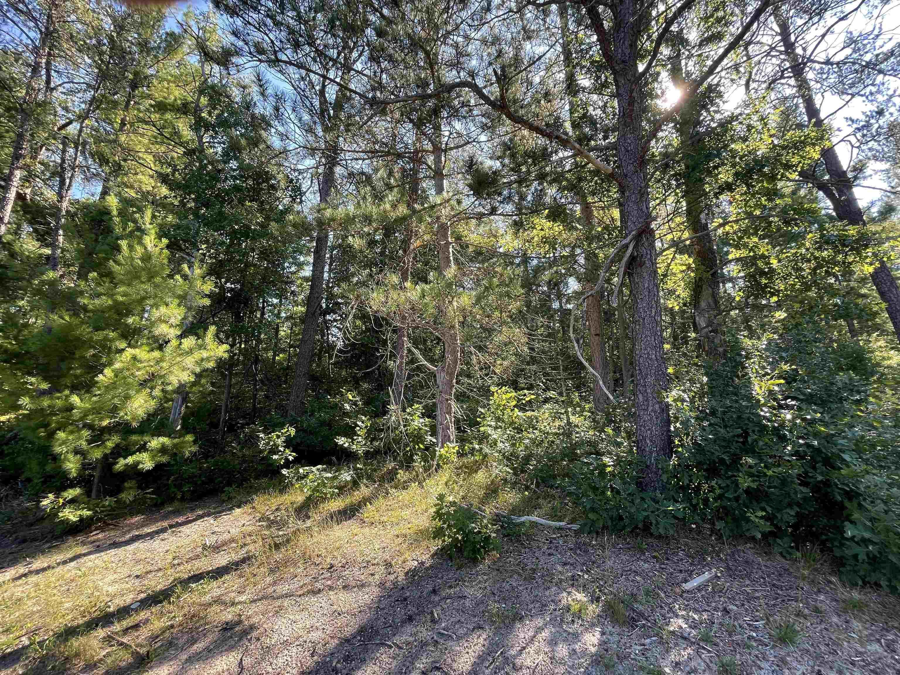 Harrison, Michigan, 48625, United States, 3 Bedrooms Bedrooms, ,3 BathroomsBathrooms,Residential,For Sale,2007492