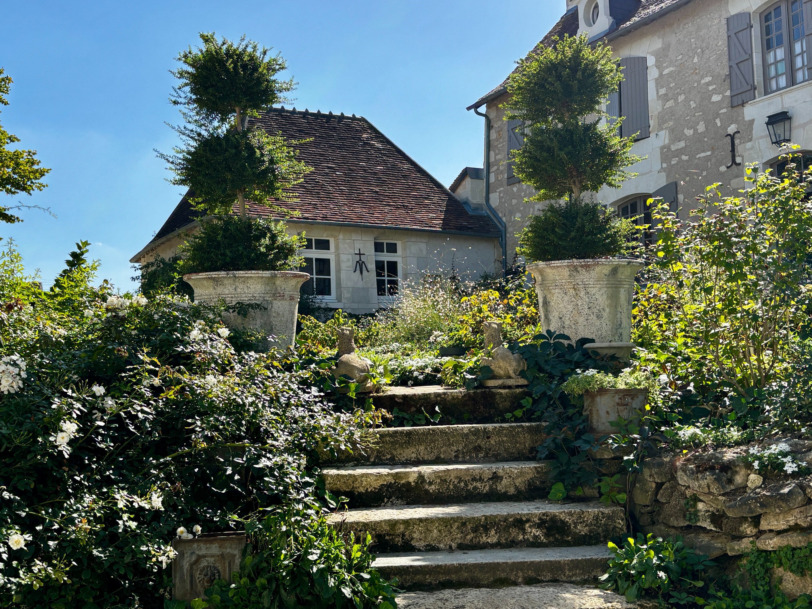  Maison - 物件實景