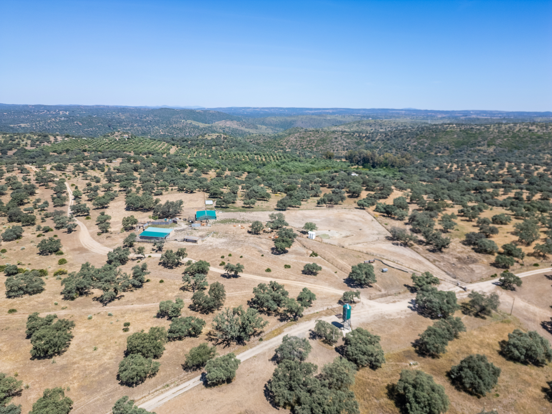  Livestock, hunting, and recreational estate in Castiblanco de los Arroyos - 物件實景