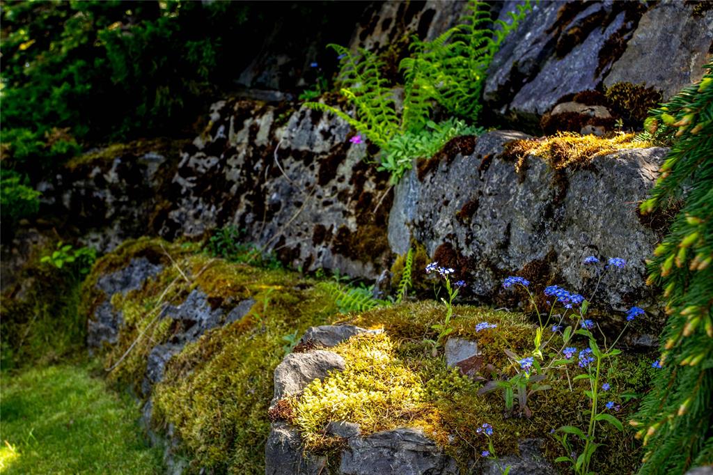 Polson, Montana, 59860, United States, 4 Bedrooms Bedrooms, ,4 BathroomsBathrooms,Residential,For Sale,1984394