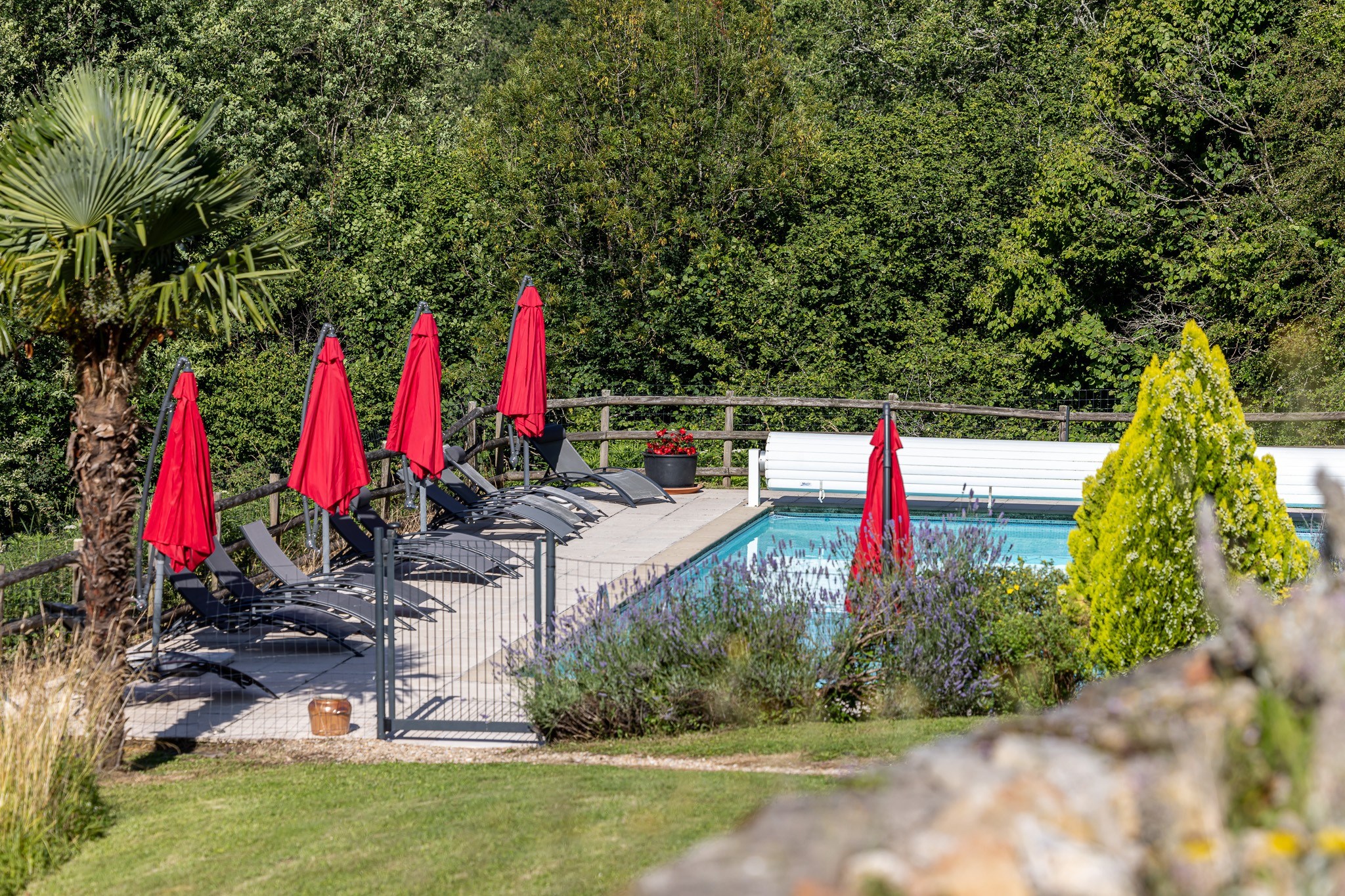  Exceptional Charming Property in the Périgord Vert - 物件實景