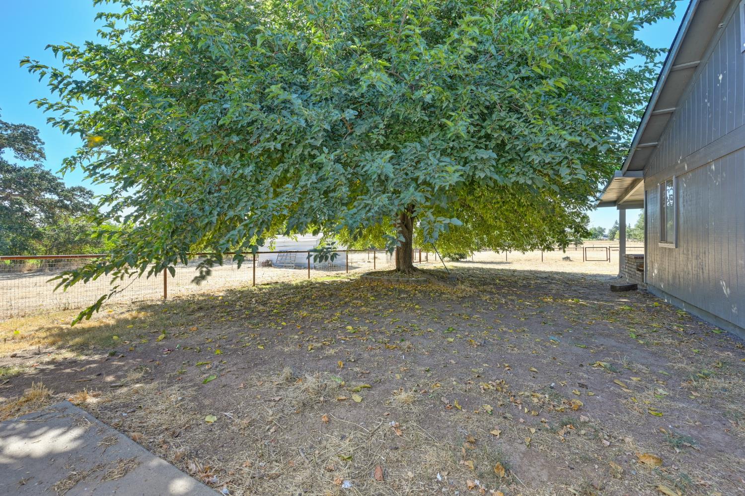 Biggs, California, 95917, United States, 3 Bedrooms Bedrooms, ,2 BathroomsBathrooms,Residential,For Sale,1933652