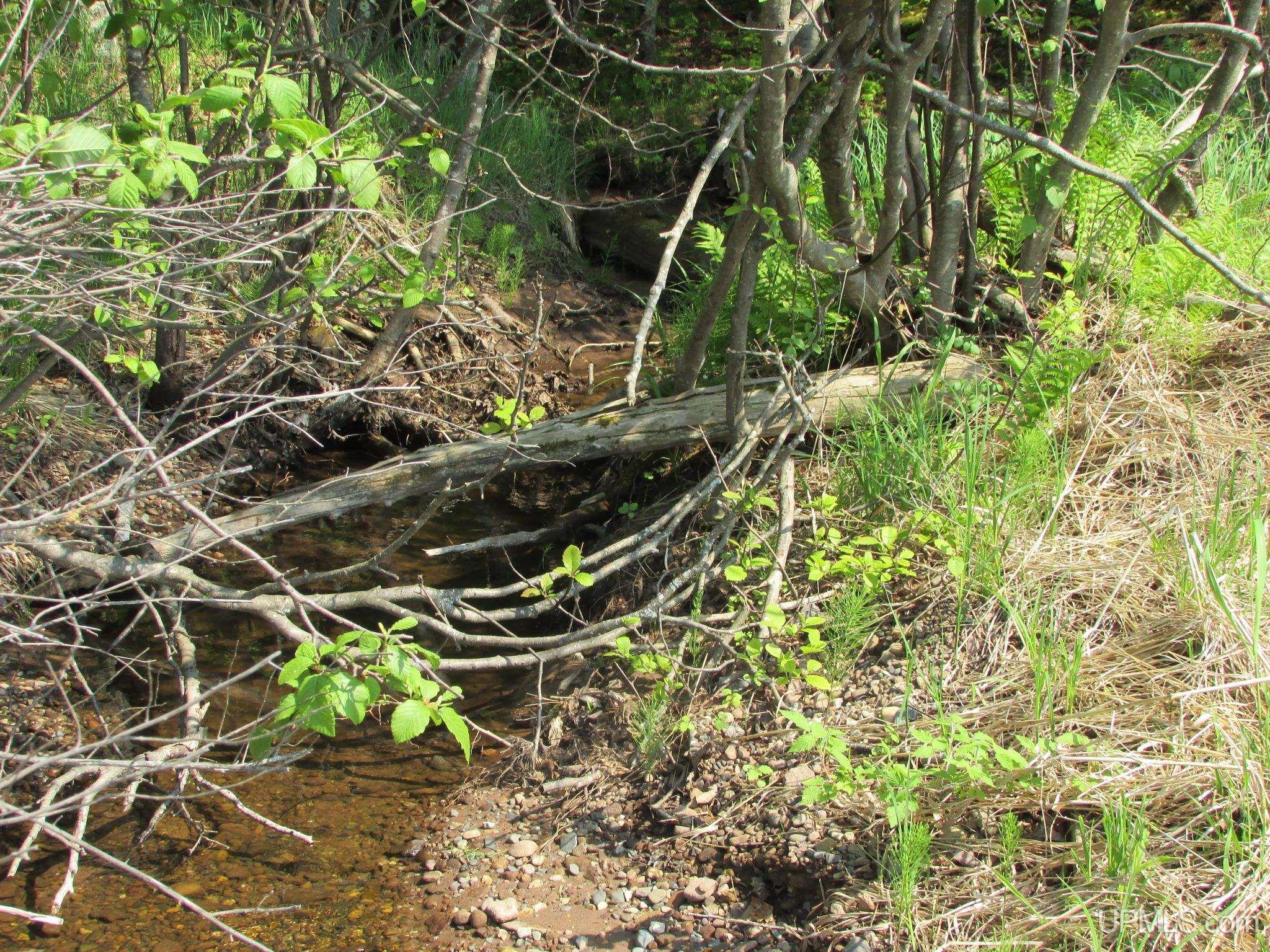 Skanee, Michigan, 49962, United States, 3 Bedrooms Bedrooms, ,2 BathroomsBathrooms,Residential,For Sale,1975456