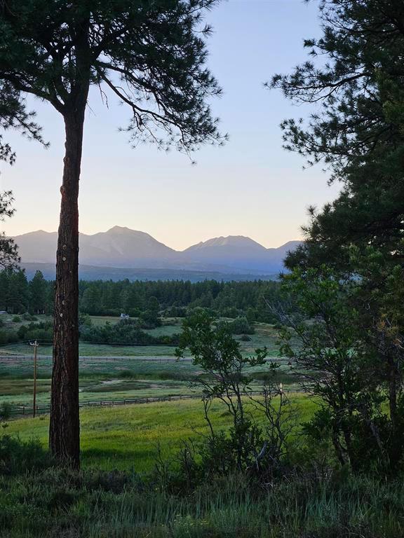 Hesperus, Colorado, 81326, United States, 4 Bedrooms Bedrooms, ,3 BathroomsBathrooms,Residential,For Sale,1793987