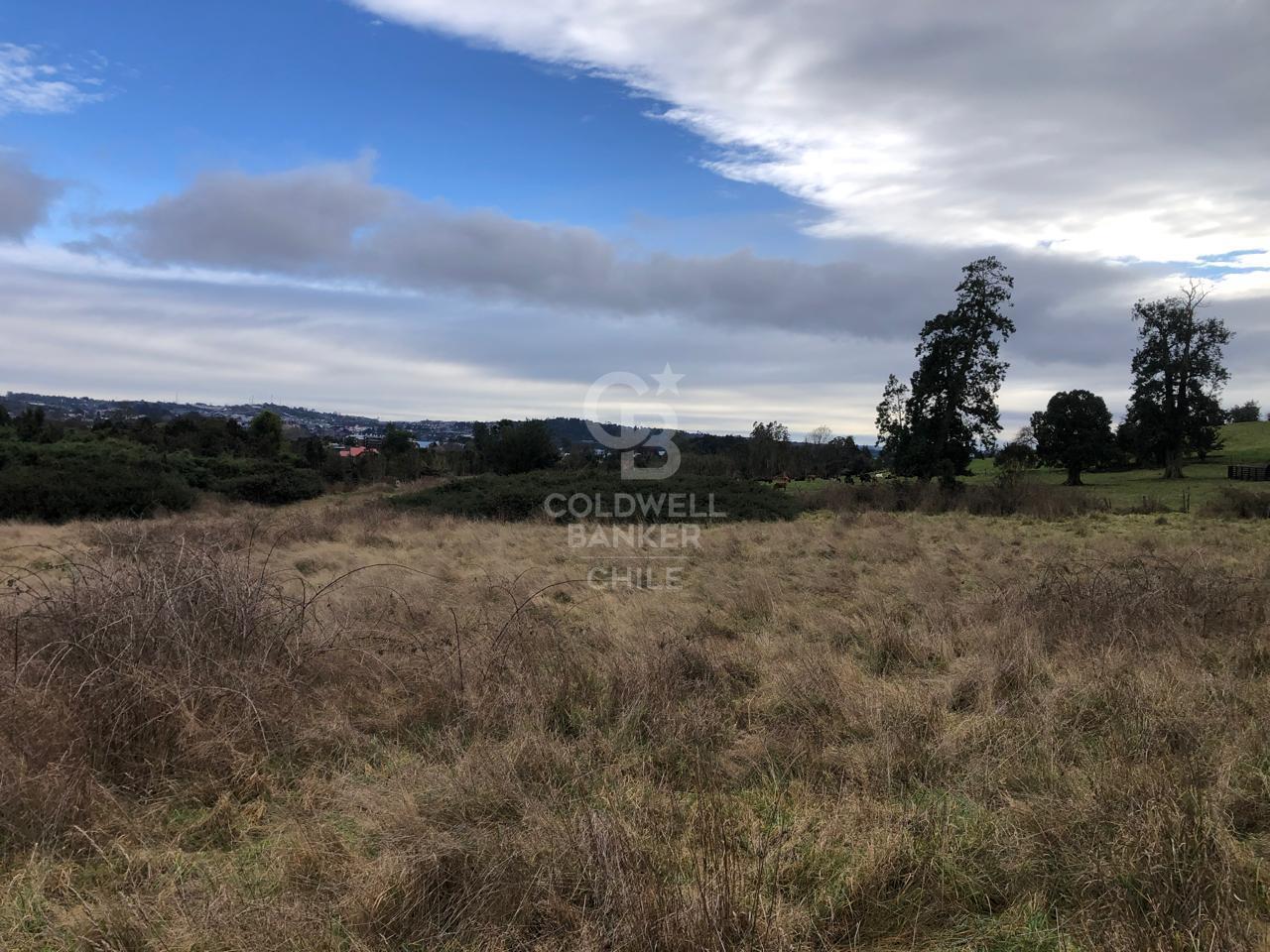 Puerto Varas, Chile, ,Land,For Sale,1917597