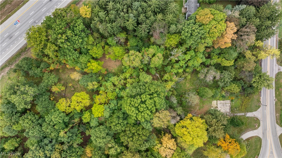 1356 E Turkeyfoot Lake Road, Akron, Ohio, 44312, United States, ,Land,For Sale,1356 E Turkeyfoot Lake Road,1668740