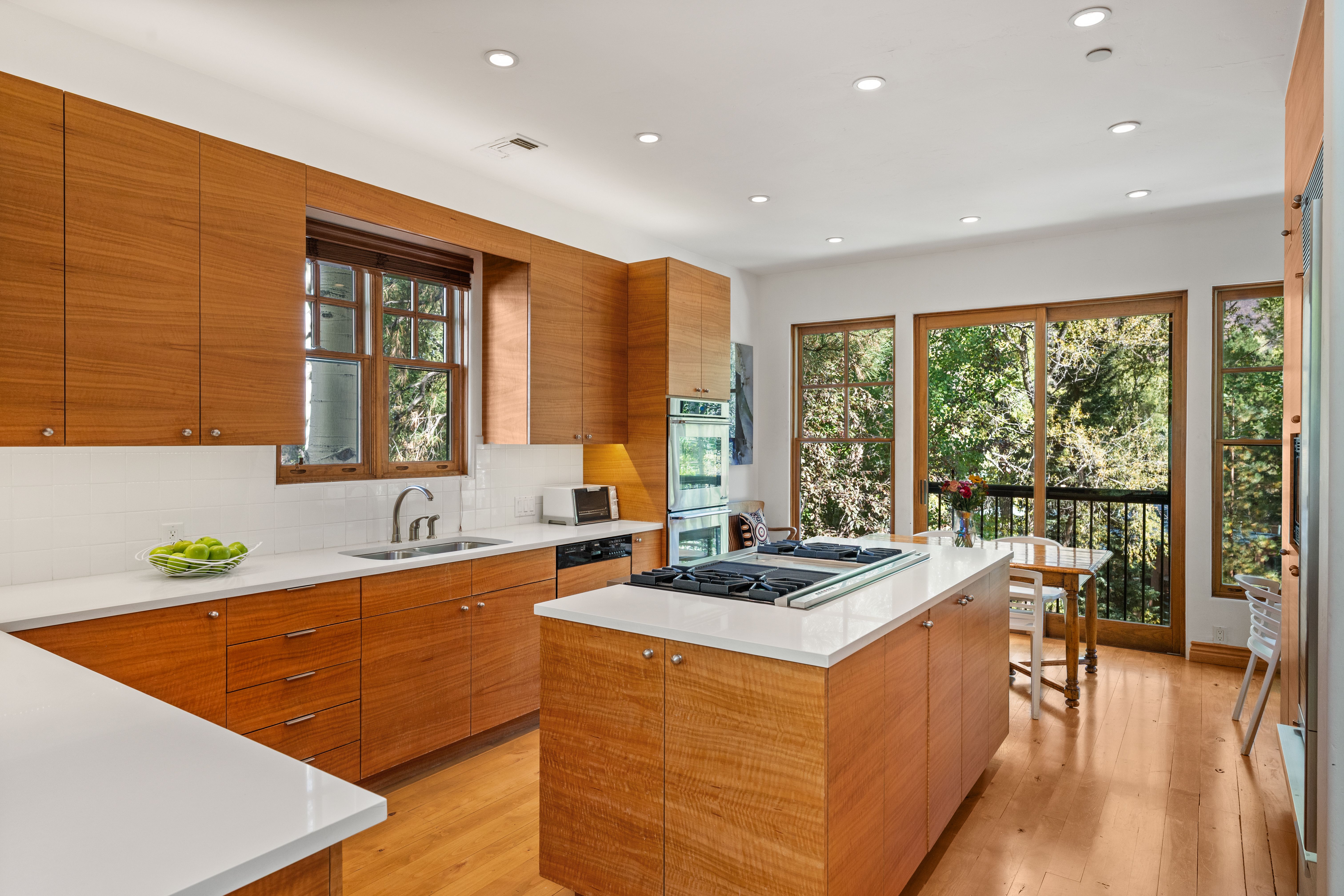  960 E Hopkins Avenue, Aspen, CO, 81611 - 物件實景