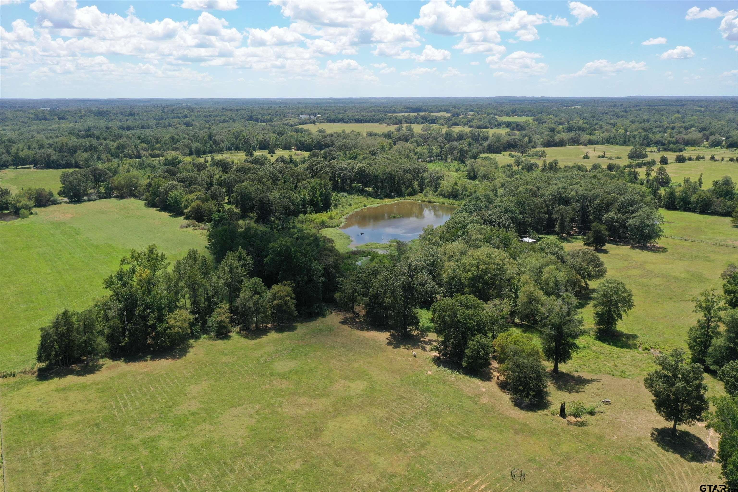 Pittsburg, Texas, 75686, United States, ,Residential,For Sale,1764164
