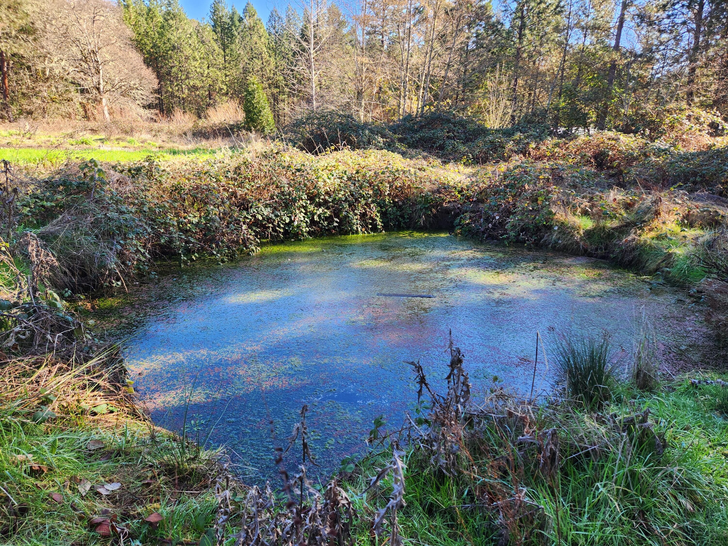 Grants Pass, Oregon, 97526, United States, 3 Bedrooms Bedrooms, ,2 BathroomsBathrooms,Residential,For Sale,1982829