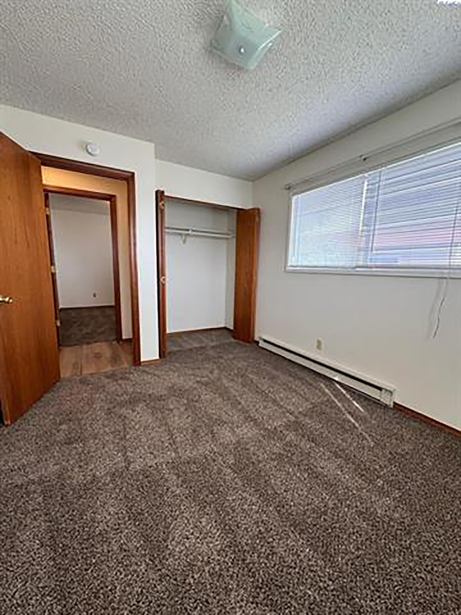  New Paint And New Flooring - 物件實景