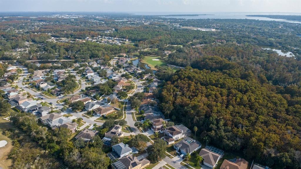 Oldsmar, Florida, 34677, United States, 4 Bedrooms Bedrooms, ,3 BathroomsBathrooms,Residential,For Sale,1998851