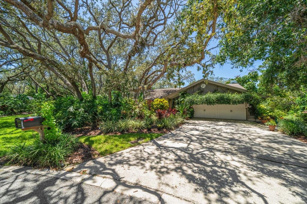 Dunedin, Florida, 34698, United States, 4 Bedrooms Bedrooms, ,3 BathroomsBathrooms,Residential,For Sale,1995790