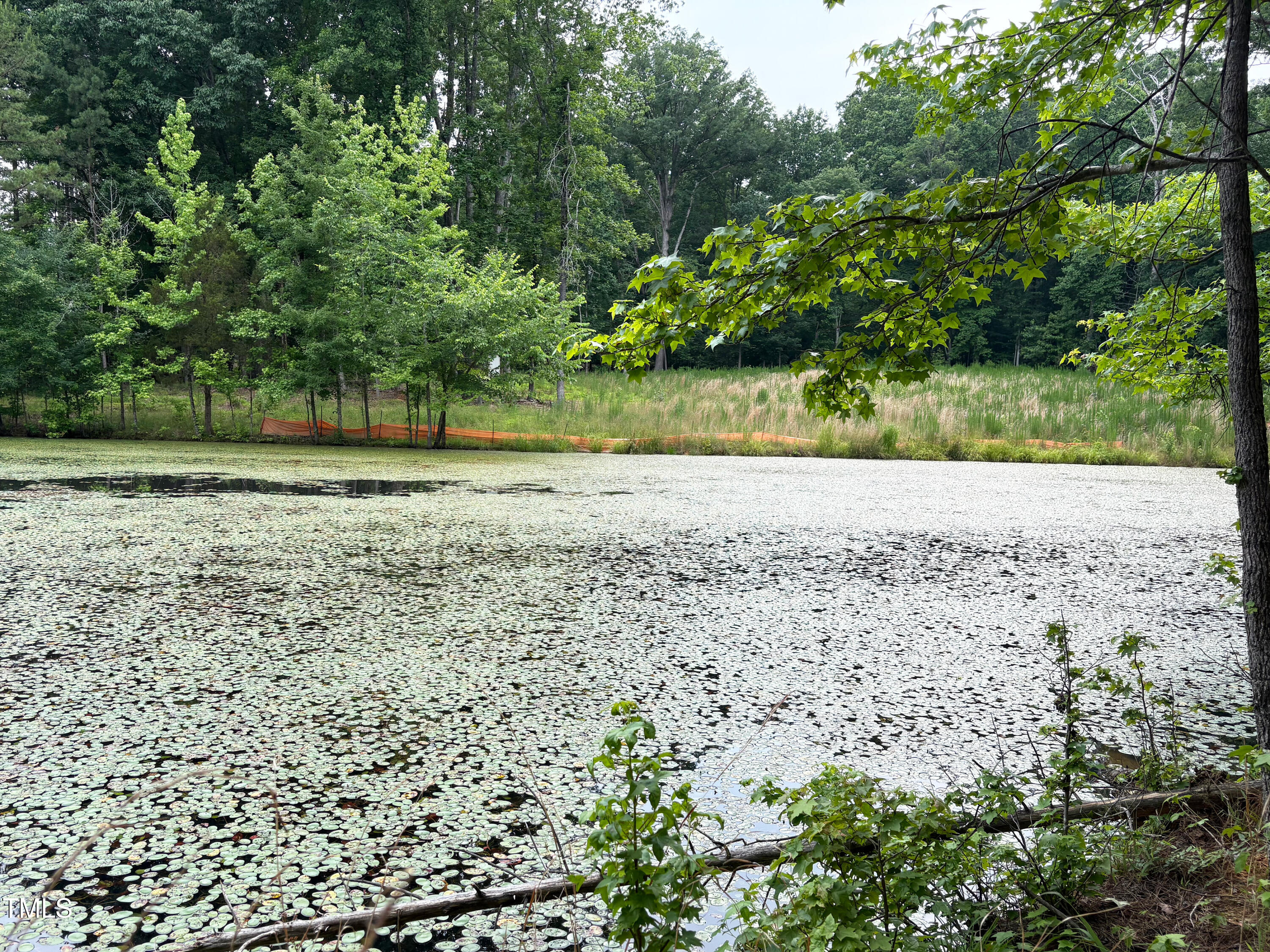 Chapel Hill, North Carolina, 27516, United States, ,Land,For Sale,1846897