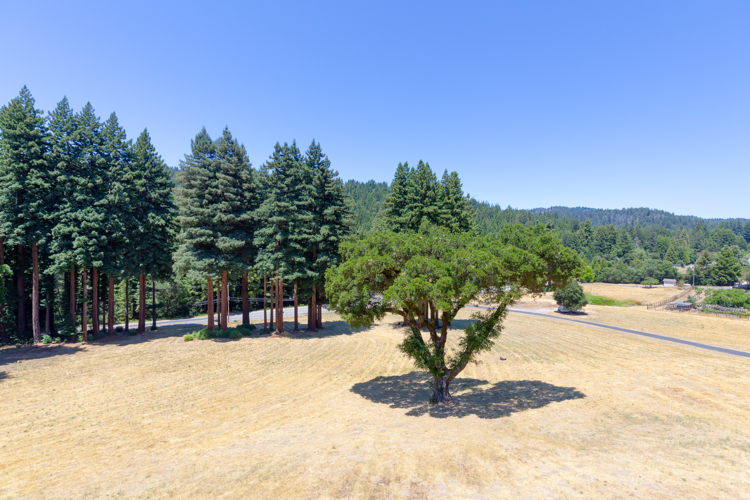 Boulder Creek, California, 95006, United States, 2 Bedrooms Bedrooms, ,3 BathroomsBathrooms,Residential,For Sale,1899975