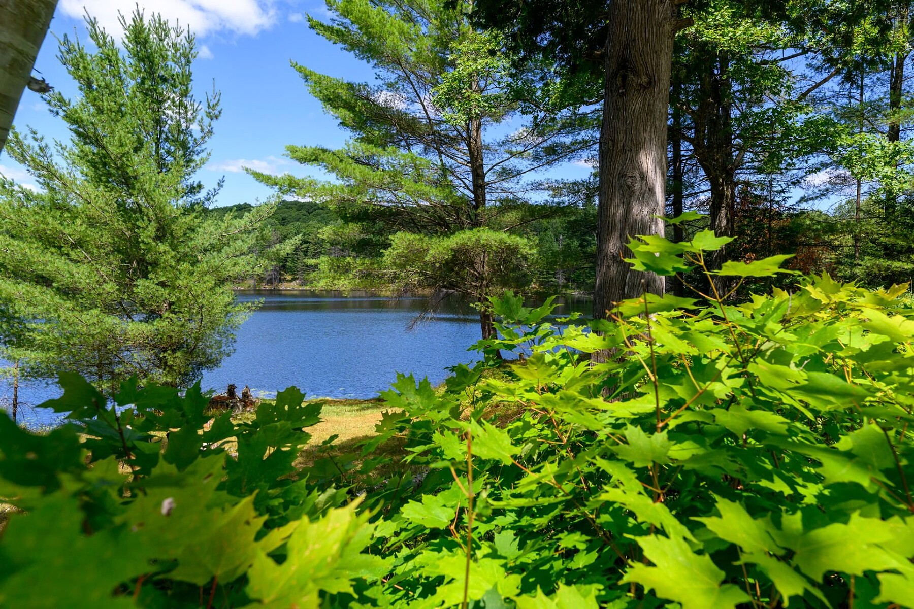  Cantley, Outaouais - 物件實景