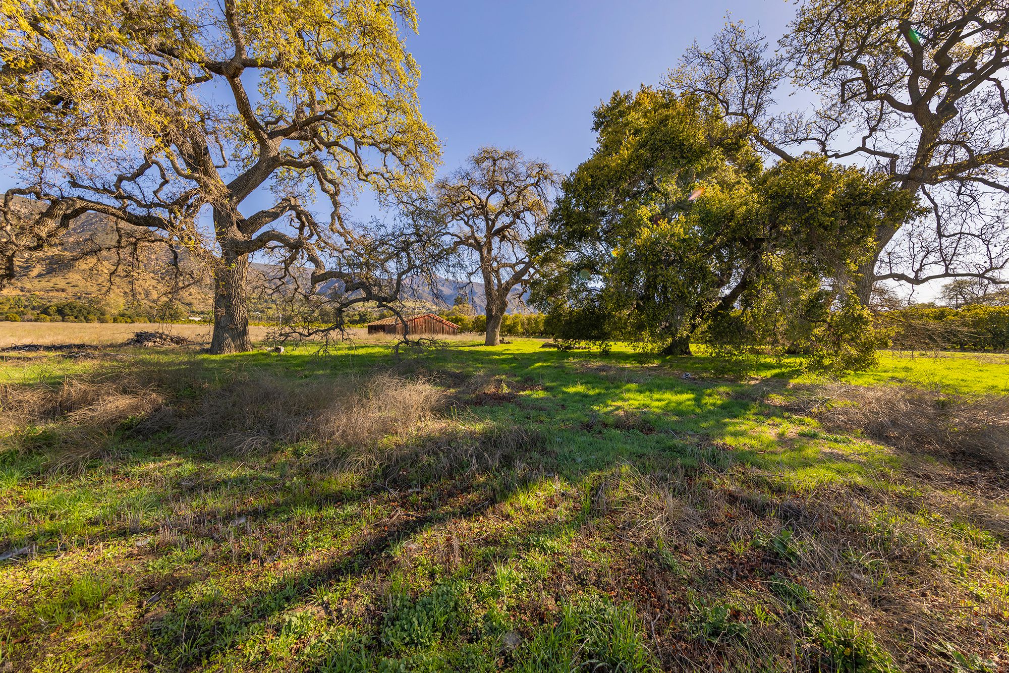  1201 Grand Avenue, Ojai, CA 93023 - 物件實景