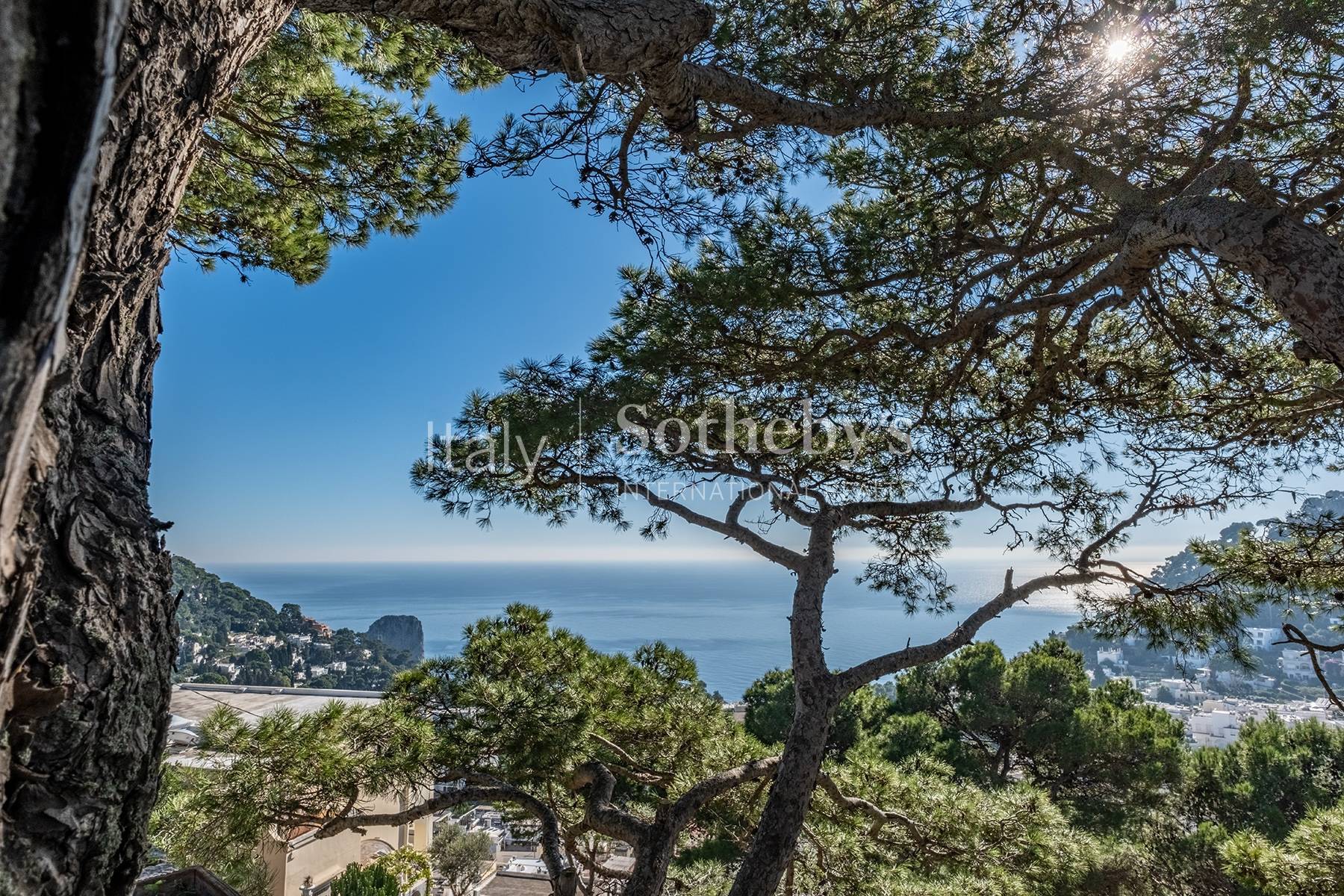  Monumental villa overlooking the sea of Capri - 物件實景