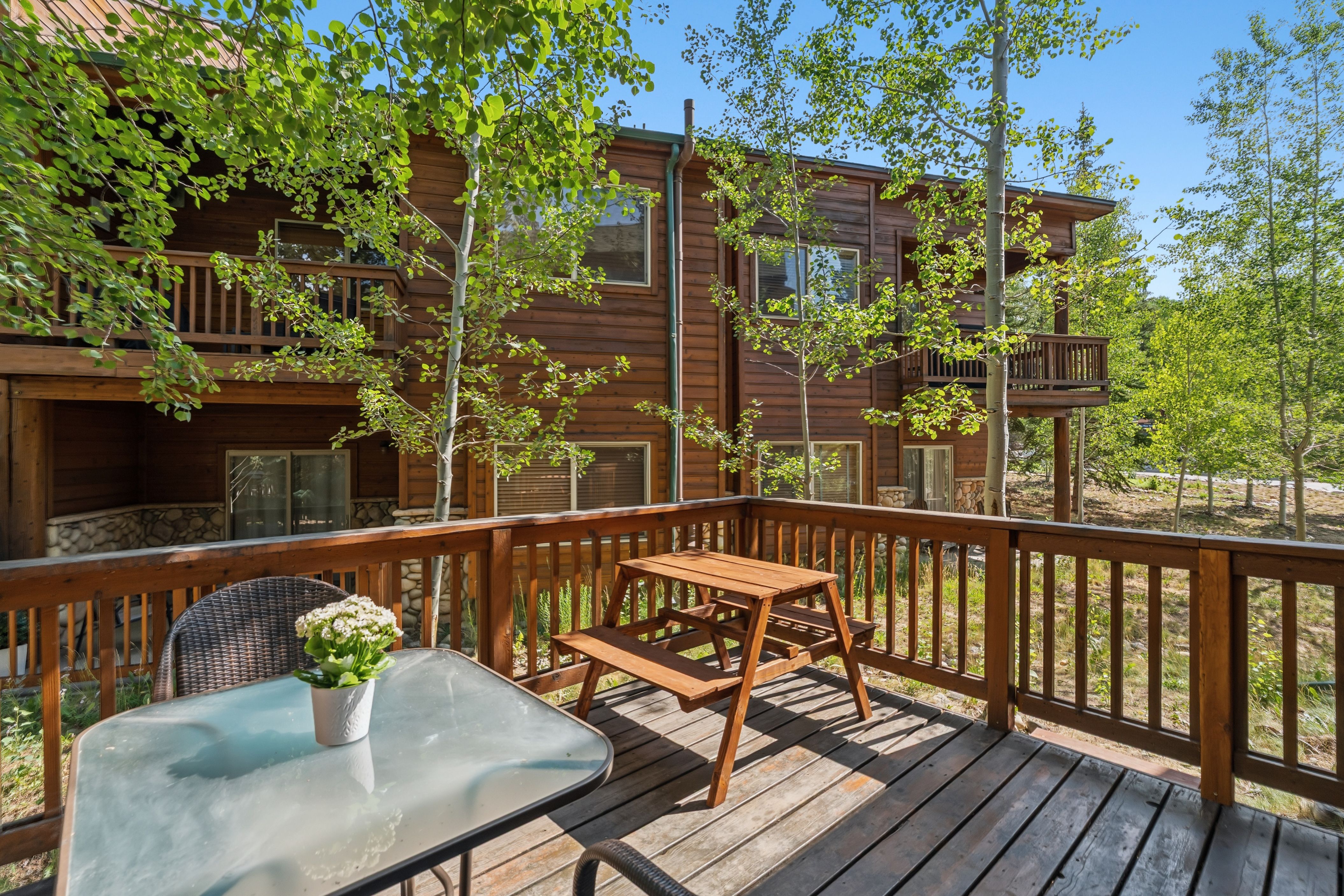  15 Lookout Ridge Drive, Dillon, CO, 80435 - 物件實景