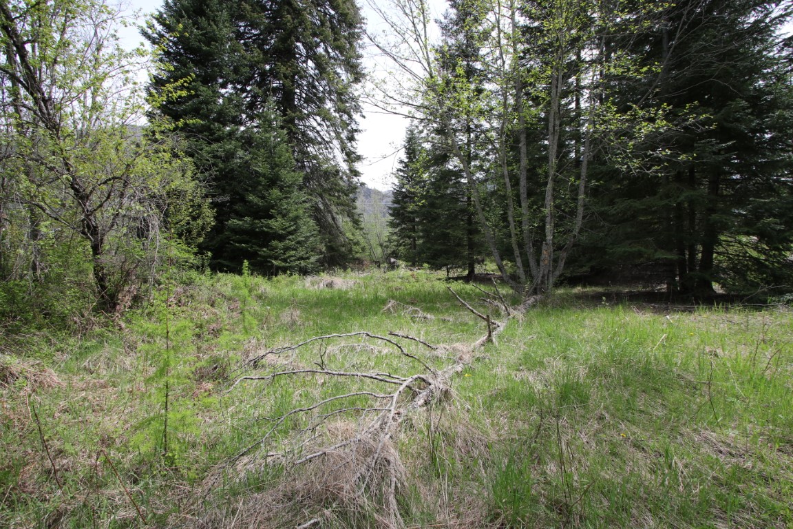 Plains, Montana, 59859, United States, ,Residential,For Sale,1921183