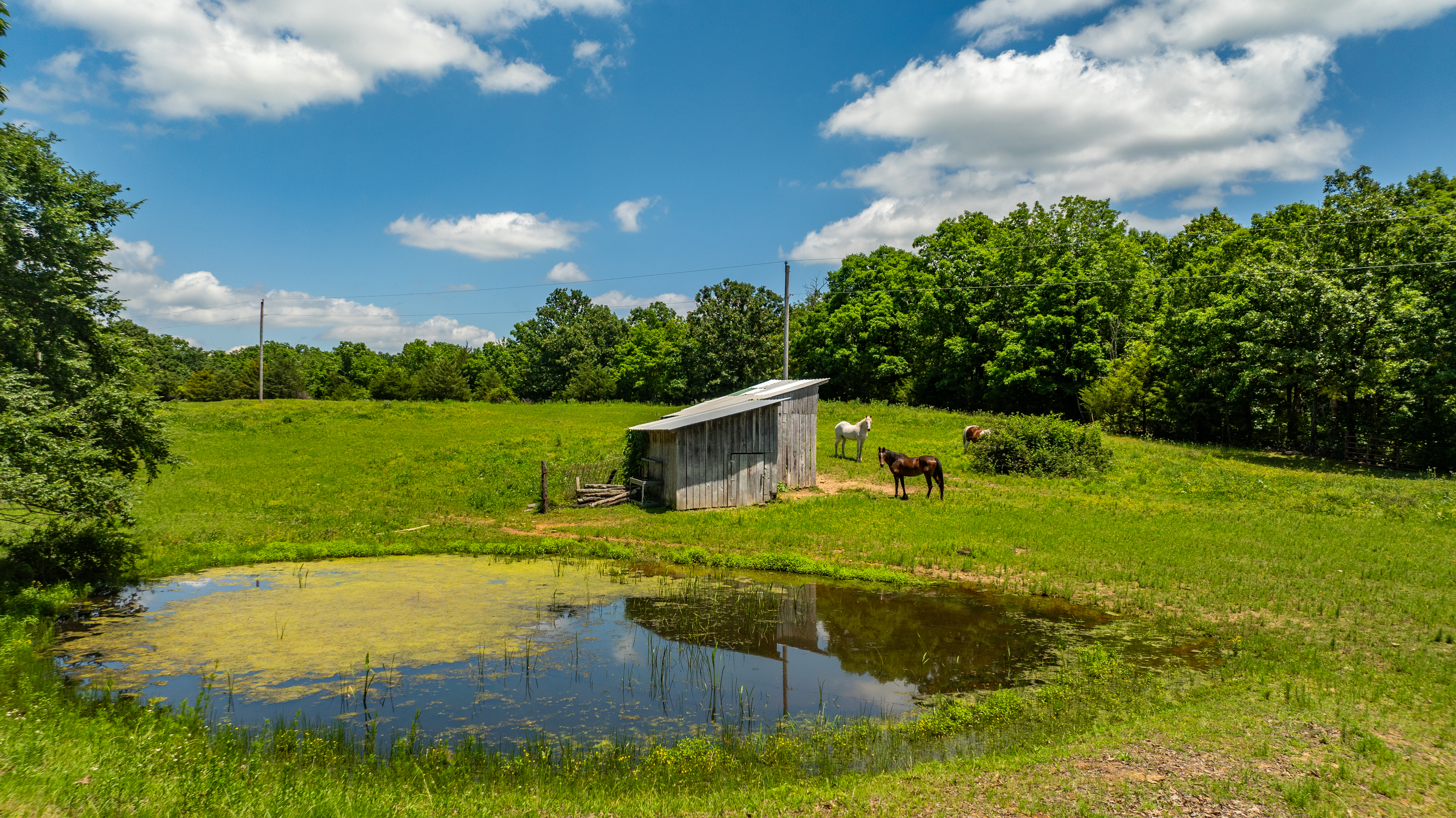  2306 County Road 8050, Jasper, AR, 72641 - 物件實景