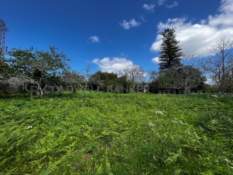 Pontevedra, Moa?a, Moa?a (San Marti?o P. E Virxe d, Moaña, Galicia, ES, 7 Bedrooms Bedrooms, ,2 BathroomsBathrooms,Residential,For Sale,Pontevedra, Moa?a, Moa?a (San Marti?o P. E Virxe d,1623275