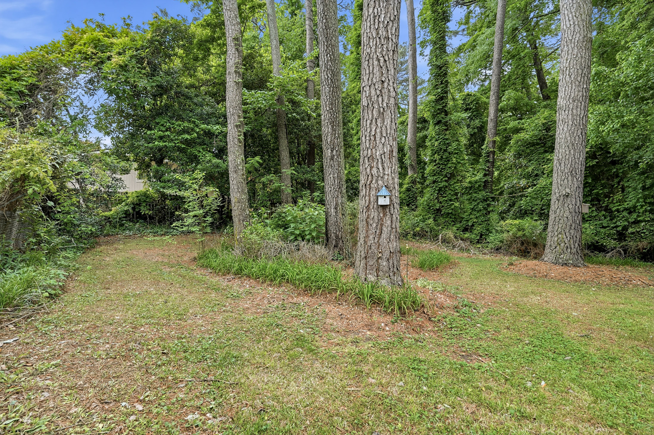  Charming Bungalow Tucked in Sought-After Lavista Park - 物件實景