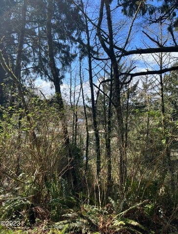 Pacific City, Oregon, 97135, United States, ,Land,For Sale,1977303