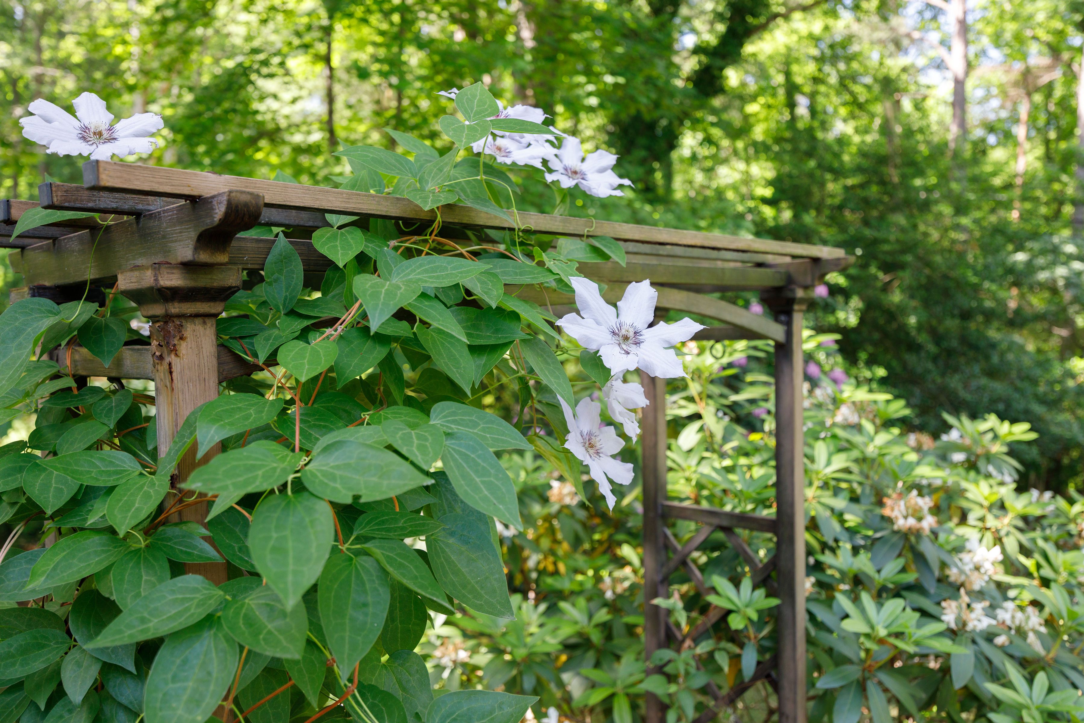  3740 Hastings Drive, Richmond, VA 23235 - 物件實景