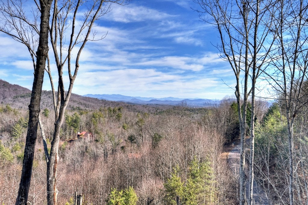 Mineral Bluff, Georgia, 30559, United States, 4 Bedrooms Bedrooms, ,4 BathroomsBathrooms,Residential,For Sale,2010498