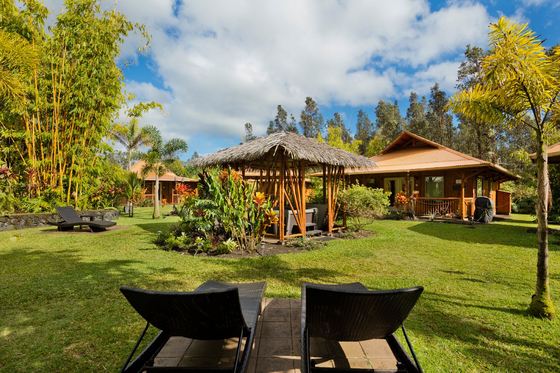  11-2884 Hibiscus Street, Mountain View, HI, 96771 - 物件實景