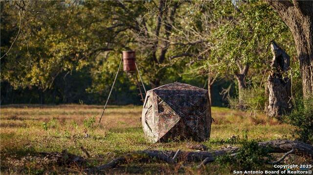 Kingsbury, Texas, 78638, United States, ,3 BathroomsBathrooms,Residential,For Sale,2005147