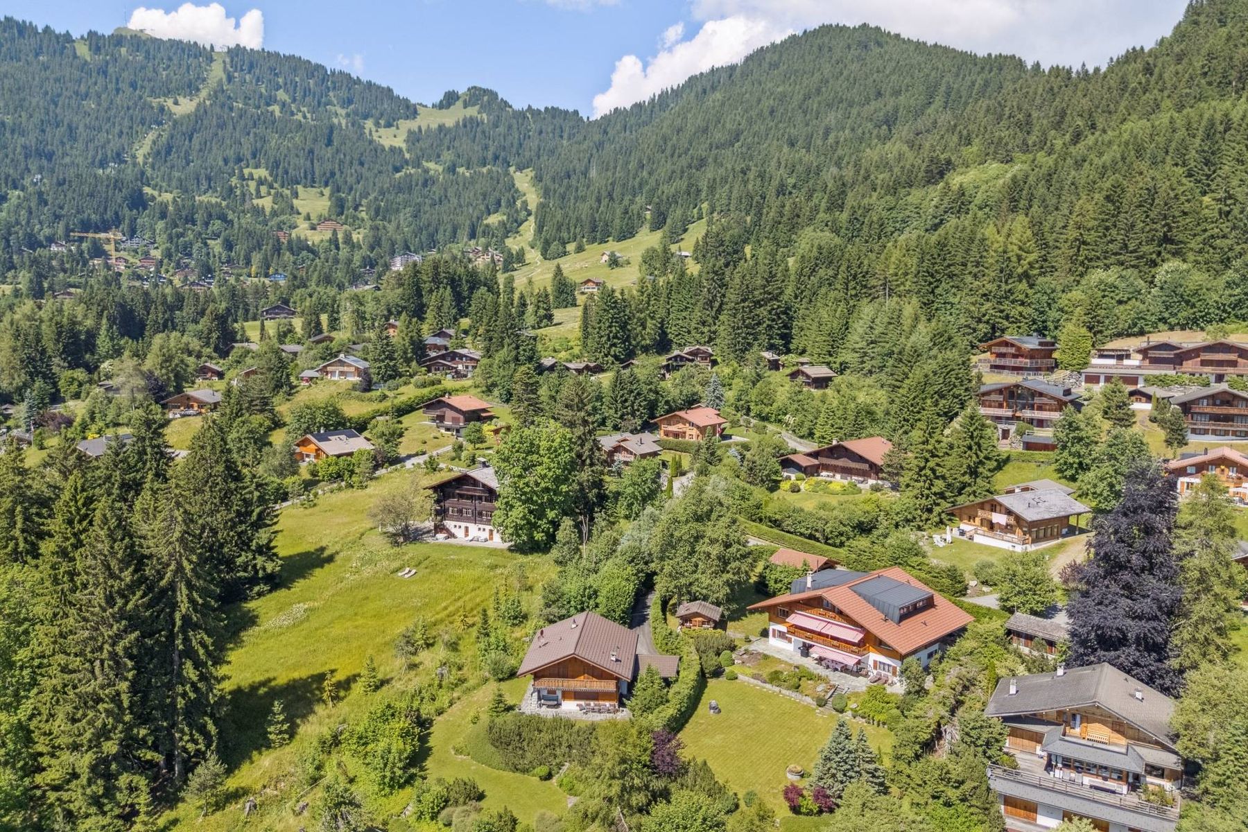  In the highly sought-after Domaine de la Forêt, a vast, exceptional property - 物件實景