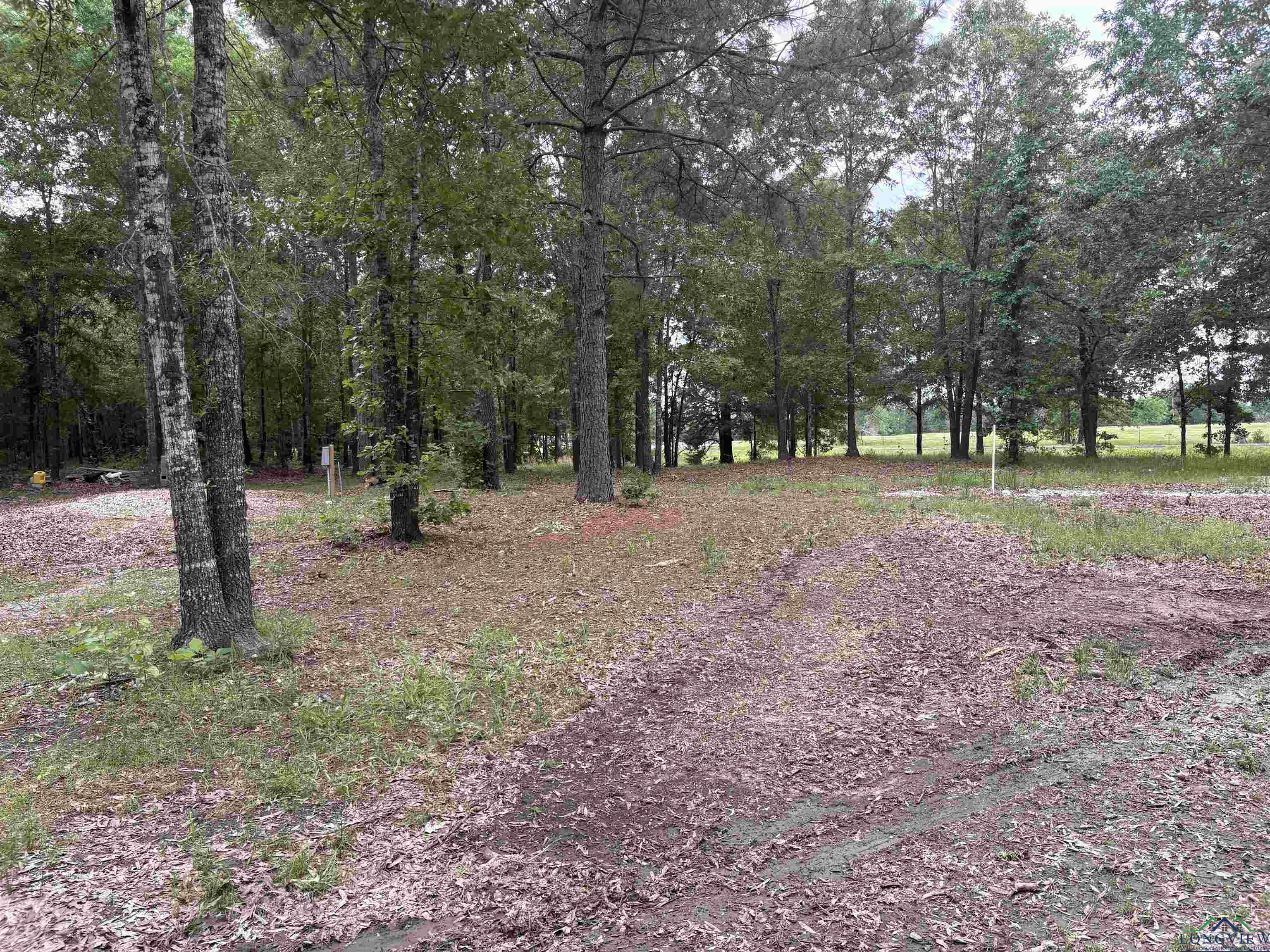 Bogata, Texas, 75417, United States, 1 Bedroom Bedrooms, ,1 BathroomBathrooms,Residential,For Sale,1712686