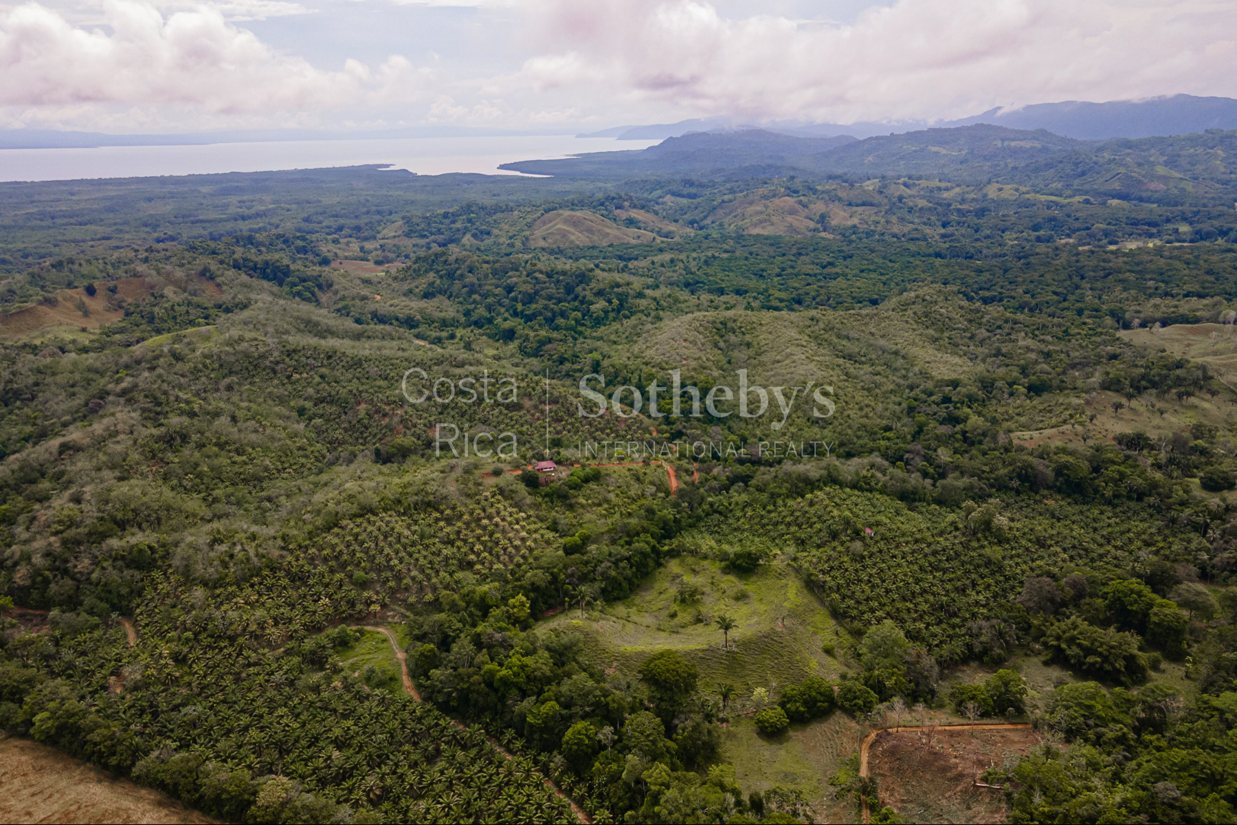  Ocean and River Views in Pristine South Costa Rica - 物件實景