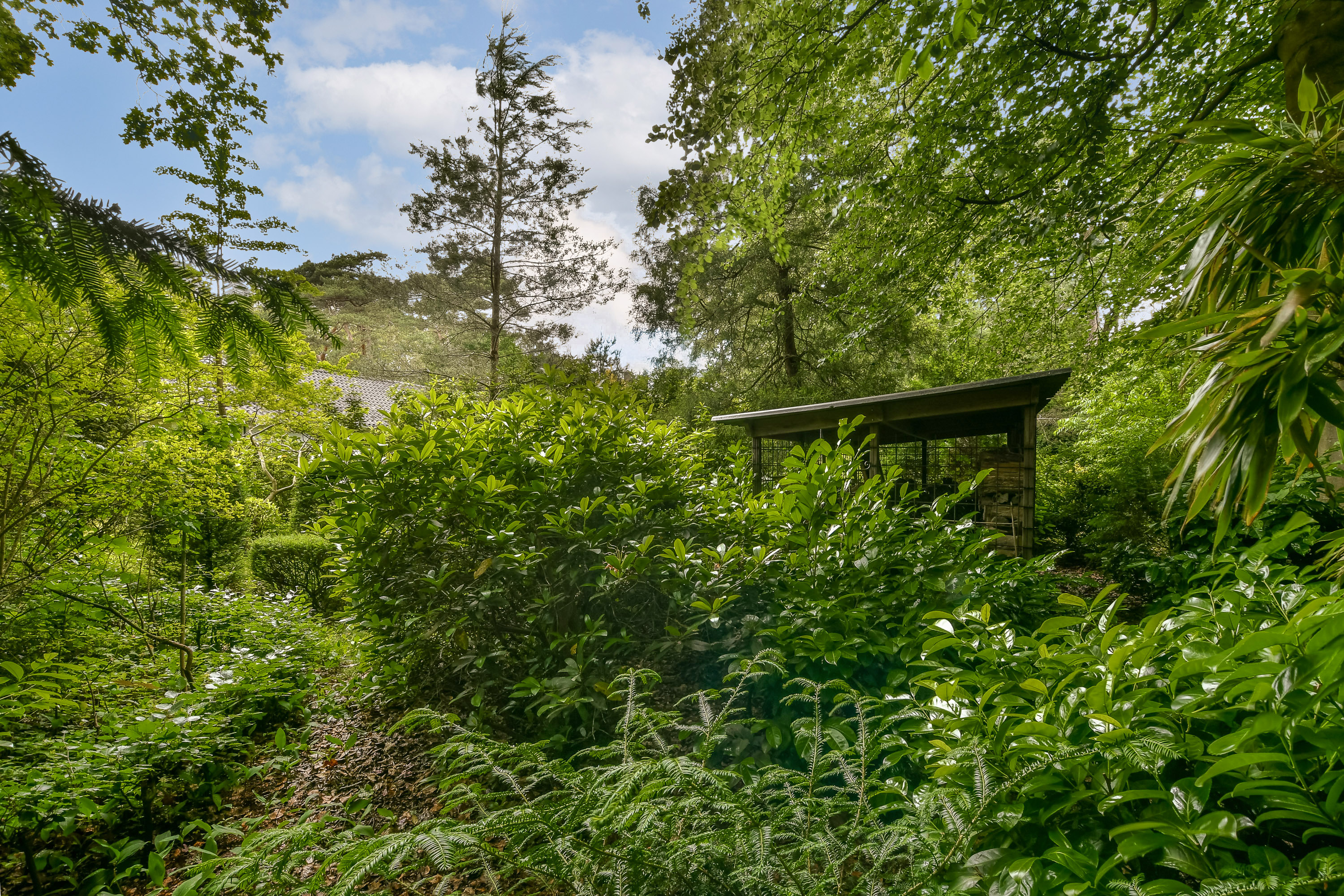  The Secret Garden of Beethovenlaan - 物件實景