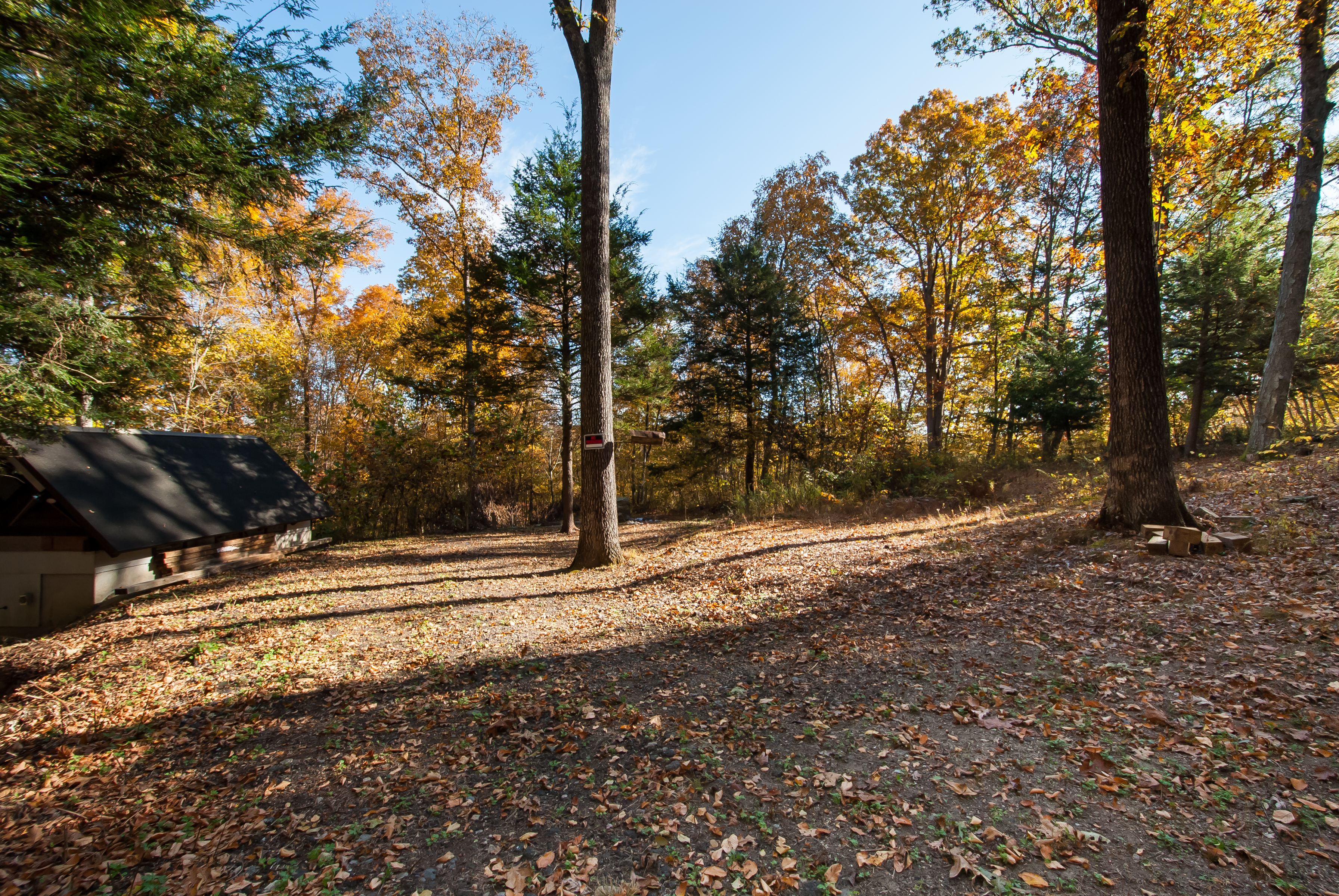  Nestled in the Hills of Southbury - 物件實景