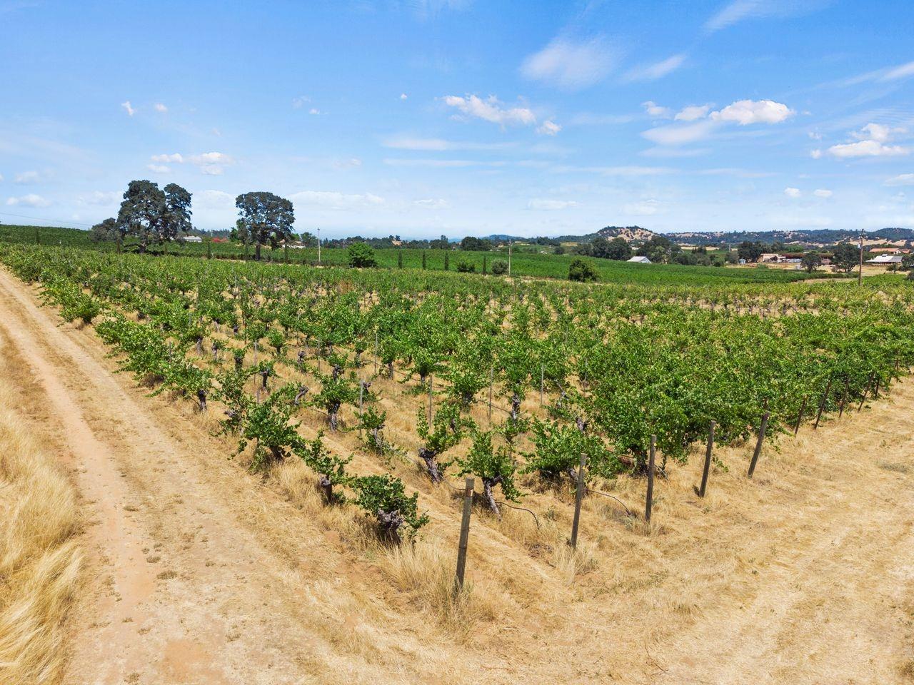 21226 Dickson Road, Plymouth, California, 95669, United States, ,Land,For Sale,21226 Dickson Road,1672447