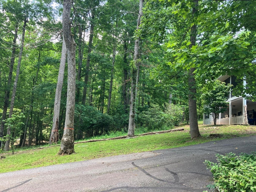 Young Harris, Georgia, 30582, United States, 3 Bedrooms Bedrooms, ,3 BathroomsBathrooms,Residential,For Sale,1847113
