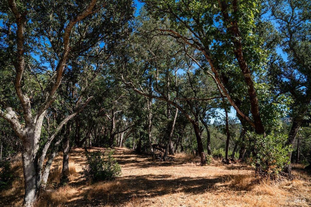 St. Helena, California, 94574, United States, ,Residential,For Sale,1846631
