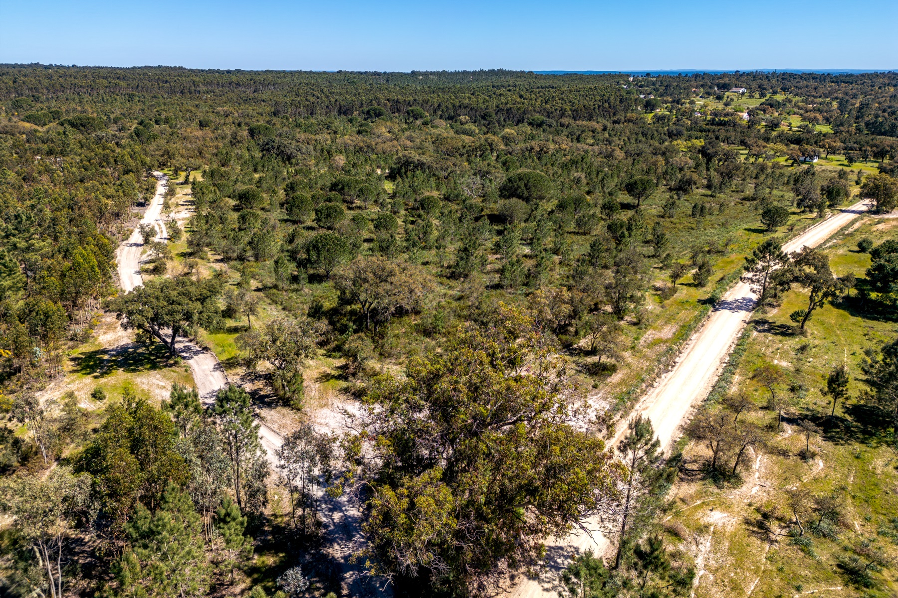  Stand for Sale - 物件實景