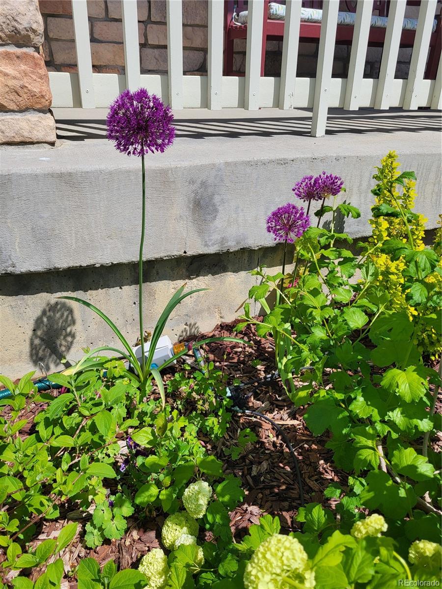 Aurora, Colorado, 80013, United States, 5 Bedrooms Bedrooms, ,3 BathroomsBathrooms,Residential,For Sale,2001899