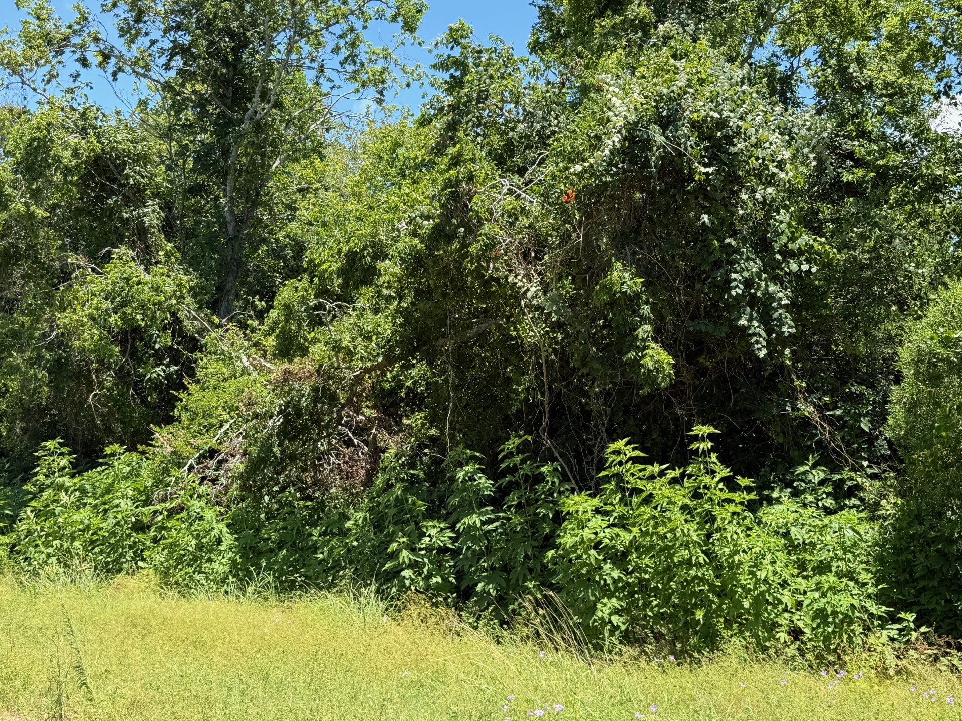 Baytown, Texas, 77523, United States, ,Land,For Sale,1898668